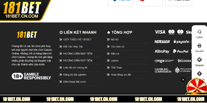 Chiến lược bắn cá rùa xanh để nâng cao tỷ lệ thắng