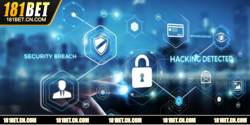 Những điểm chính có trong bộ quy tắc tham gia tại 181BET